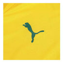 Camisa 3 Palmeiras Third 25/26 Torcedor Puma Masculina - Amarela